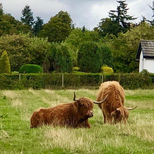 Highland Lodge Kilmorack Dış mekan fotoğraf